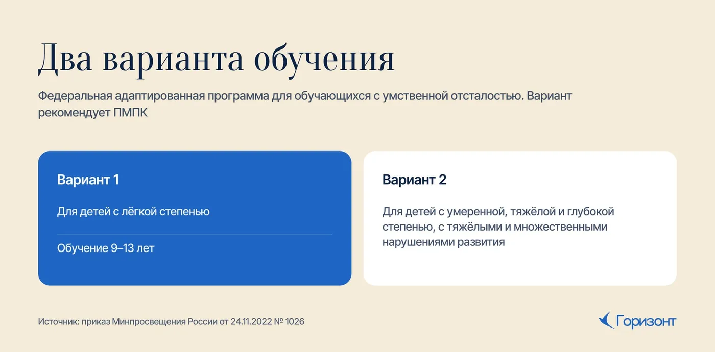 Два варианта обучения для детей с интеллектуальными нарушениями